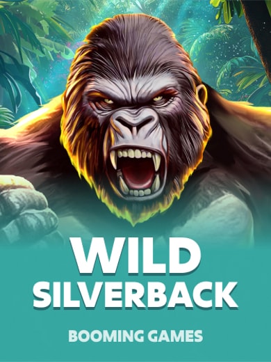 Wild Silverback